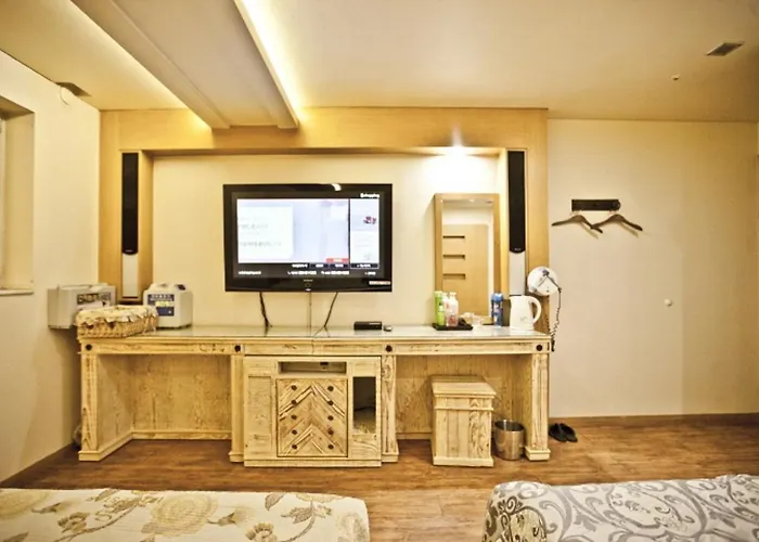 Hotel Star Gangnam Seúl
